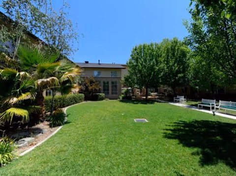 A sunny outdoor courtyard area with a well-maintained green lawn, palm trees, and other greenery. There are benches along a paved walkway and a building with large windows in the background under a clear blue sky.