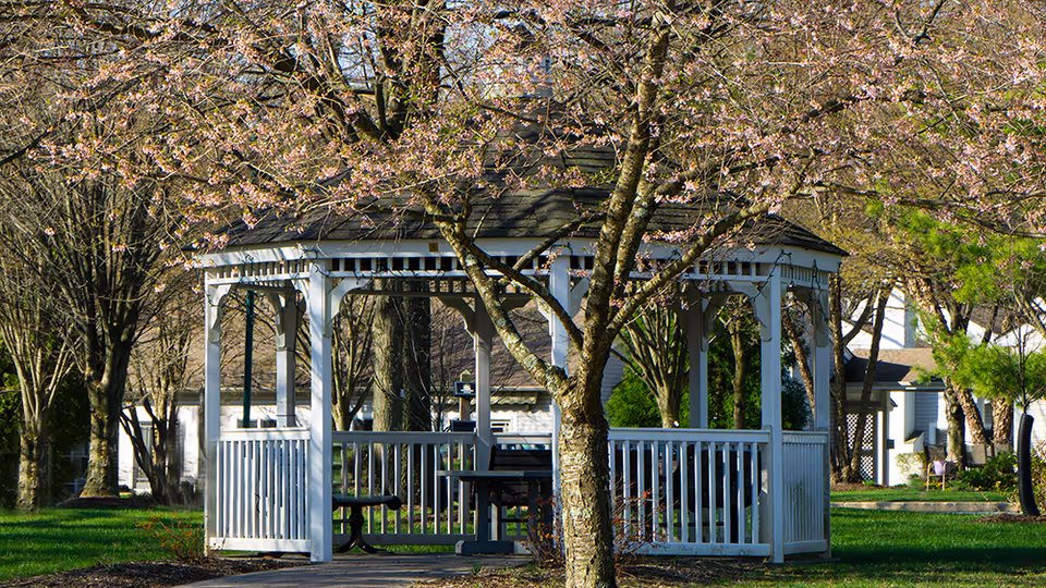 A white wooden gazebo surrounded by trees with spring blossoms in a landscaped outdoor area.