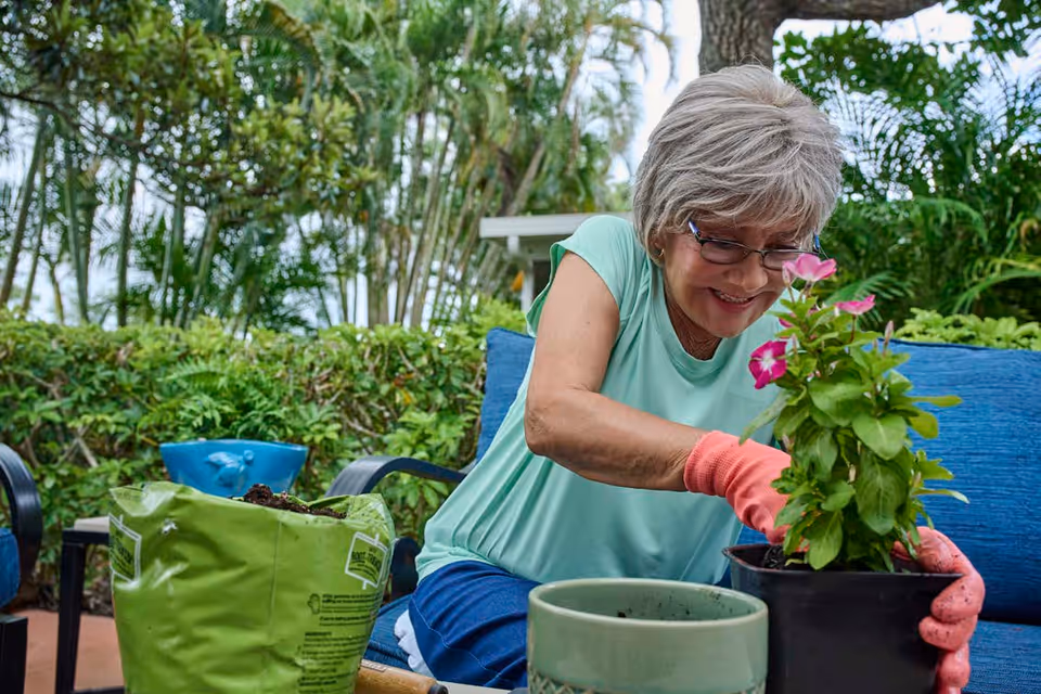 An elderly woman wearing glasses and pink gardening gloves is happily planting a pink flower in a black pot while sitting on a blue cushioned outdoor chair surrounded by green plants and trees.
