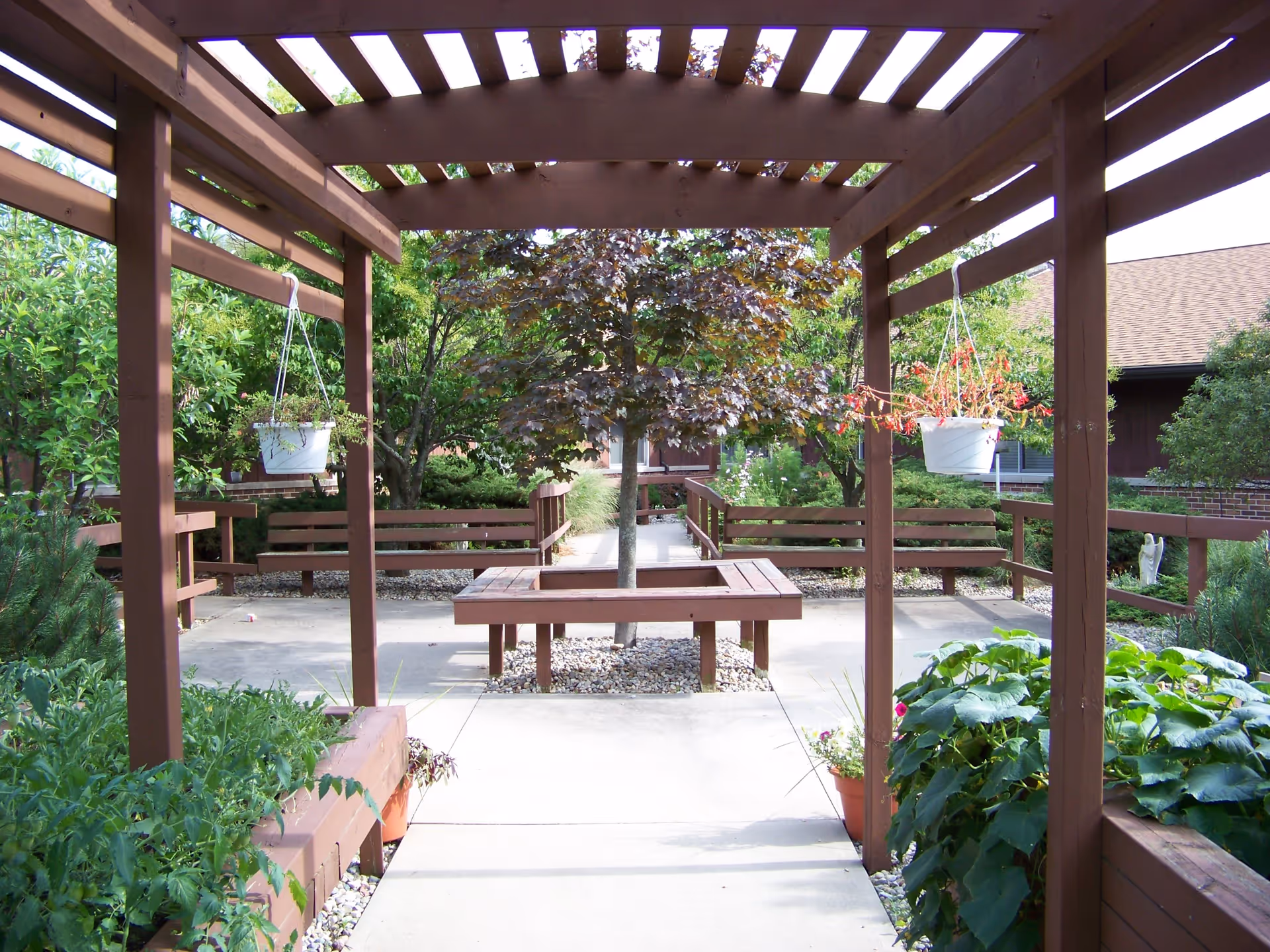 Courtyard with a wooden pergola, benches, planters and hanging flower pots surrounding a central tree.