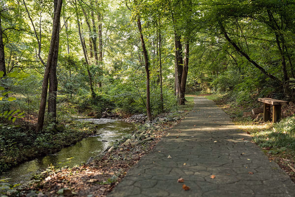 A peaceful outdoor scene featuring a paved walking path alongside a gently flowing creek surrounded by lush green trees and foliage. A wooden bench is situated on the right side of the path.