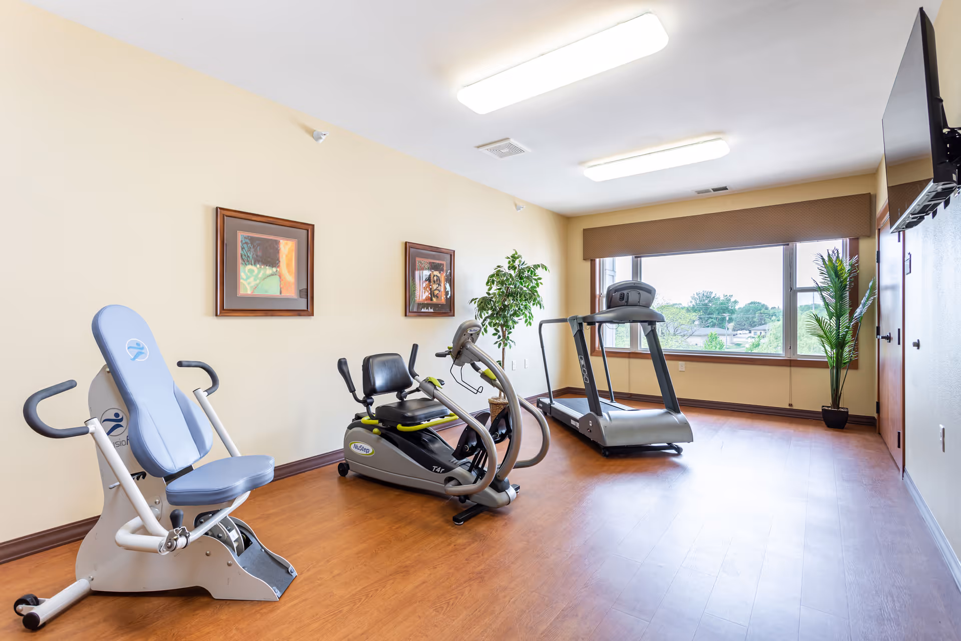 A bright exercise room with wooden flooring featuring a recumbent exercise bike, a treadmill, and another seated exercise machine. The room has large windows with a view of trees outside, two framed pictures on the wall, a potted plant near the window, and a wall-mounted TV.