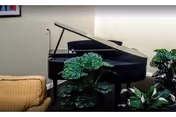 Black grand piano with its lid open in a room, surrounded by potted plants and a beige armchair.