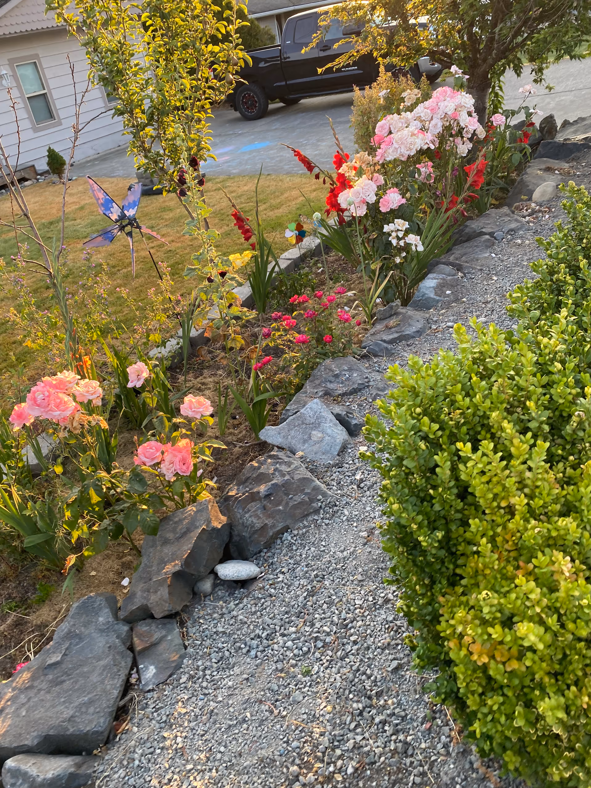Garden bed with pink and red flowers, rock border and gravel path in a front yard with a black pickup truck parked by a house.