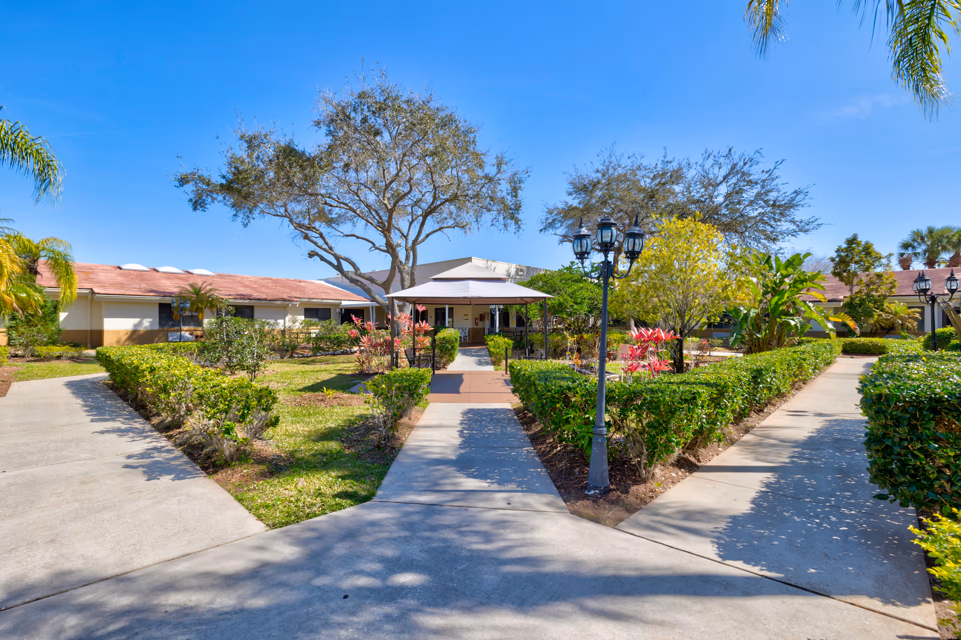 Outdoor view of a senior living facility with a paved walkway splitting into two paths surrounded by green hedges and trees, leading to a building entrance with a covered porch under a clear blue sky.