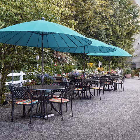 Outdoor patio with metal tables and chairs under teal umbrellas surrounded by potted plants and trees.