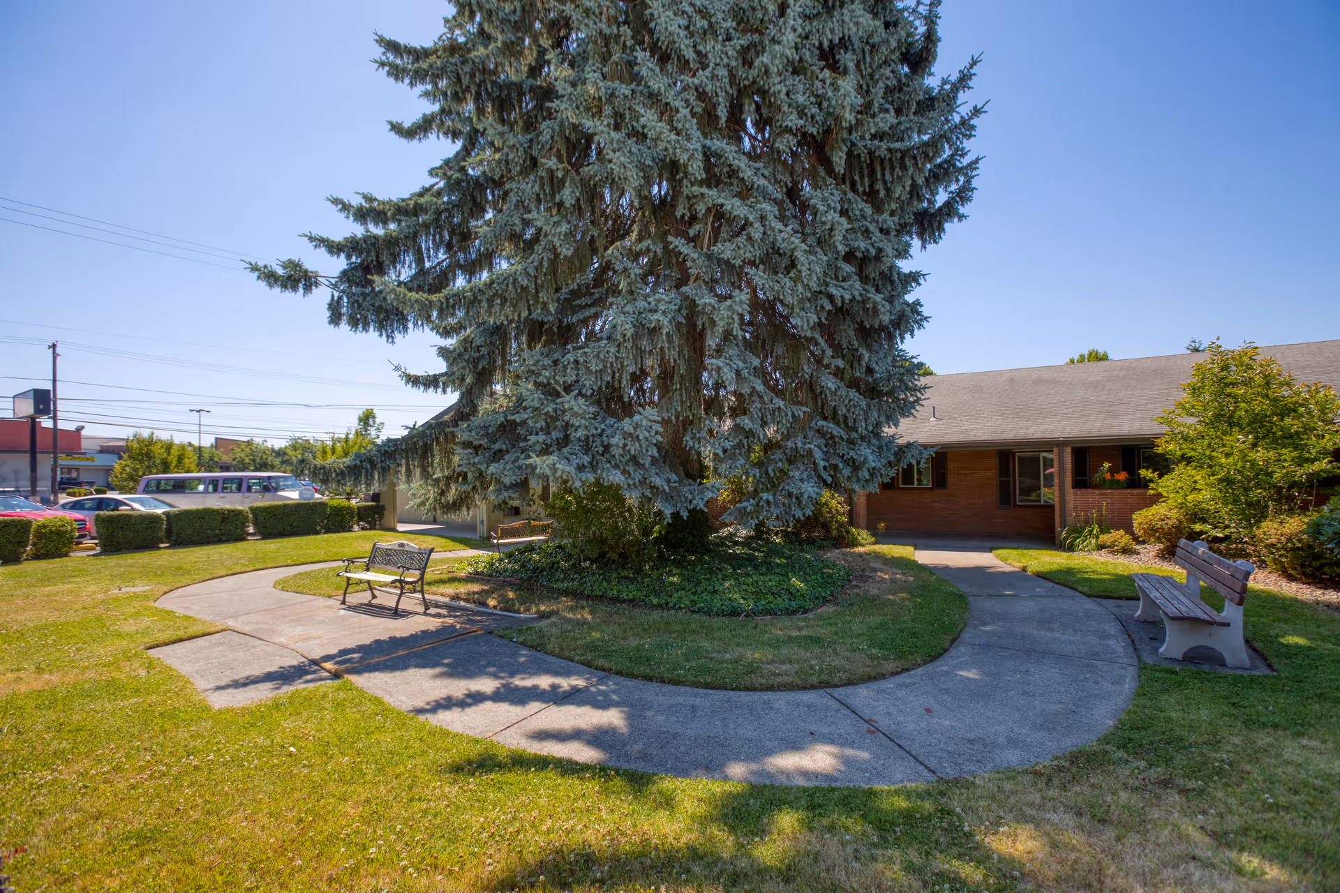 Circular concrete walkway and benches around a large evergreen tree in a grassy courtyard beside a single-story brick building.