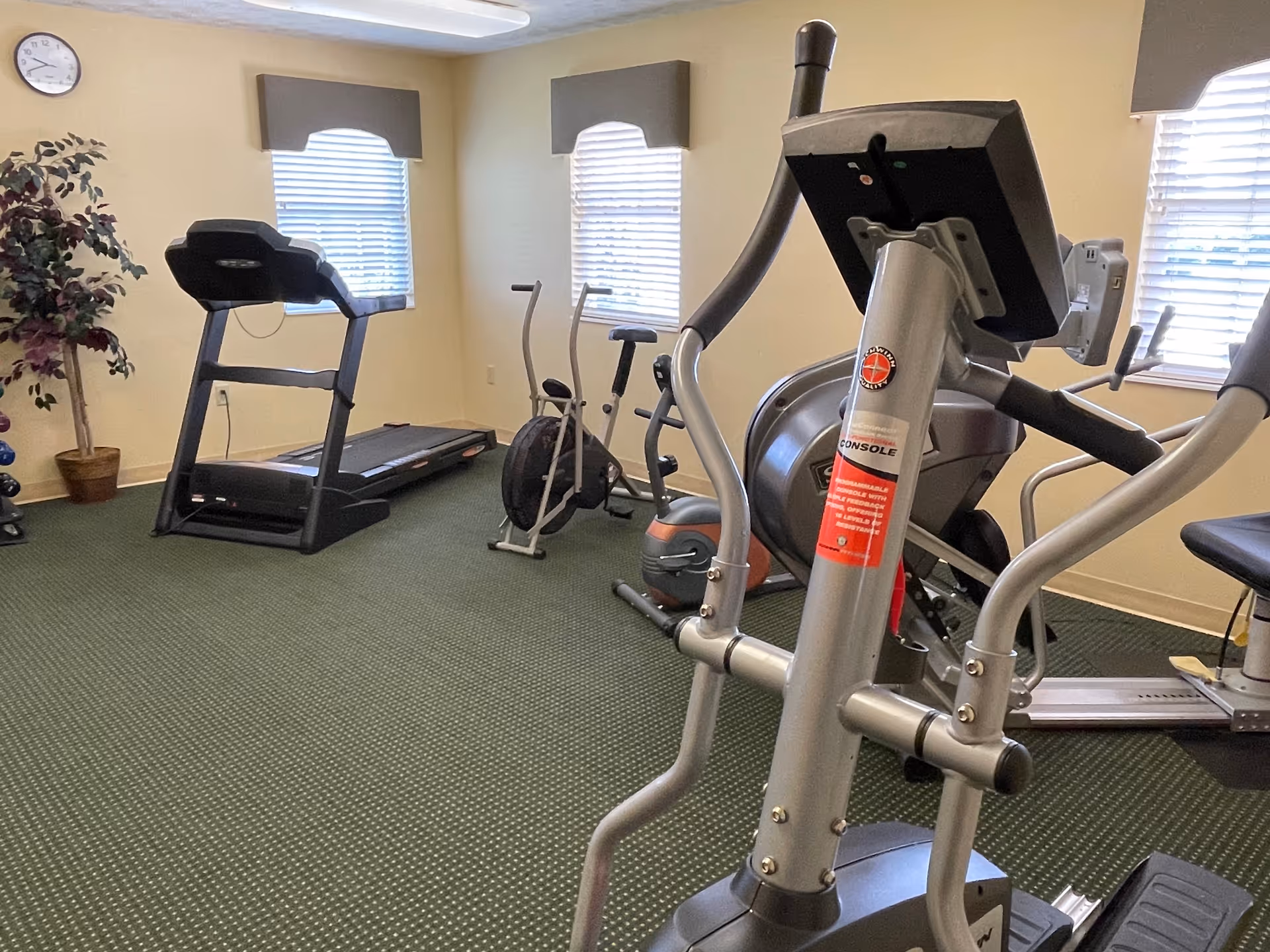Exercise room with a treadmill, stationary bikes, and elliptical machines on green carpet beneath windows.