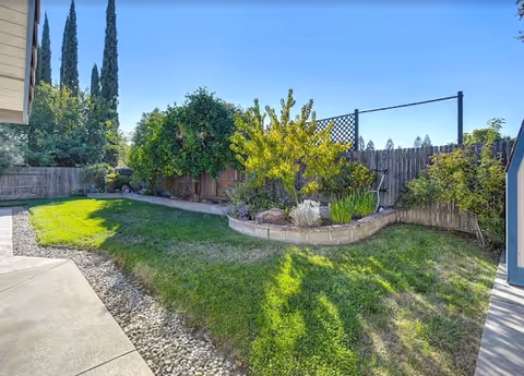 Well-kept backyard garden with raised planters, green lawn, trees, wooden fence, and blue sky.