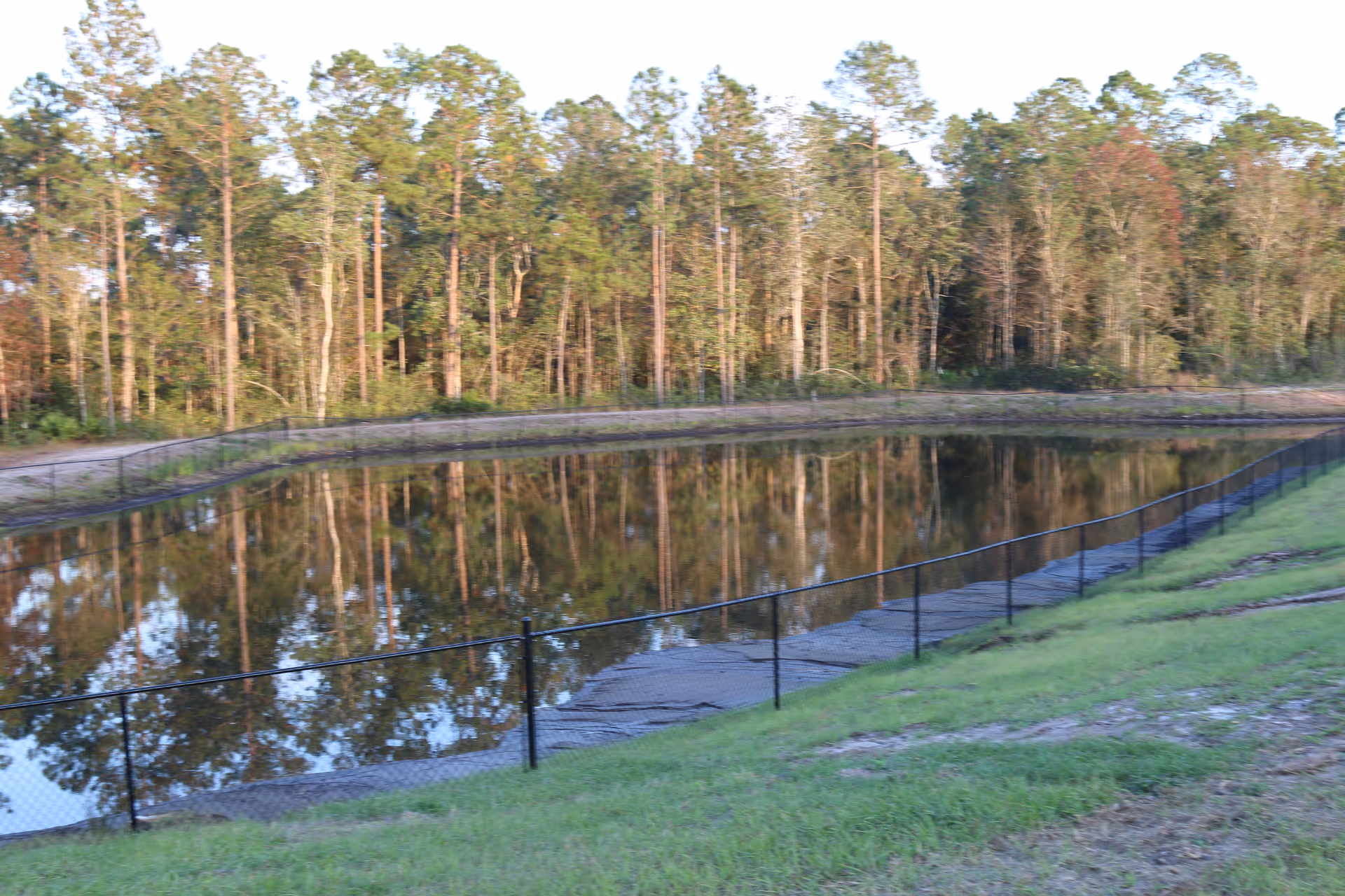 A fenced pond with a grassy bank and a line of trees reflecting in the water.