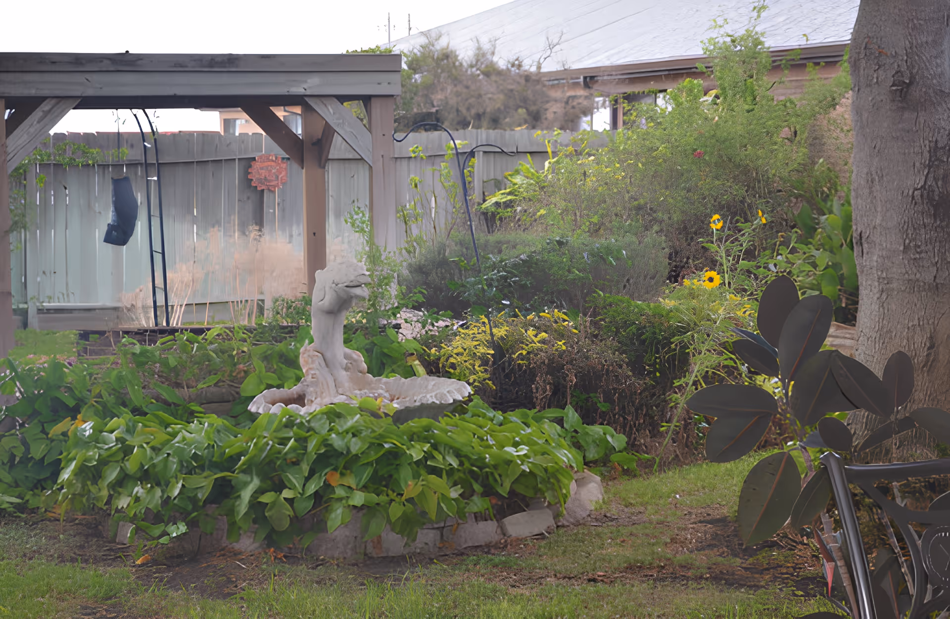 A backyard garden featuring a stone fountain statue surrounded by lush plants, a wooden pergola, and a fence.