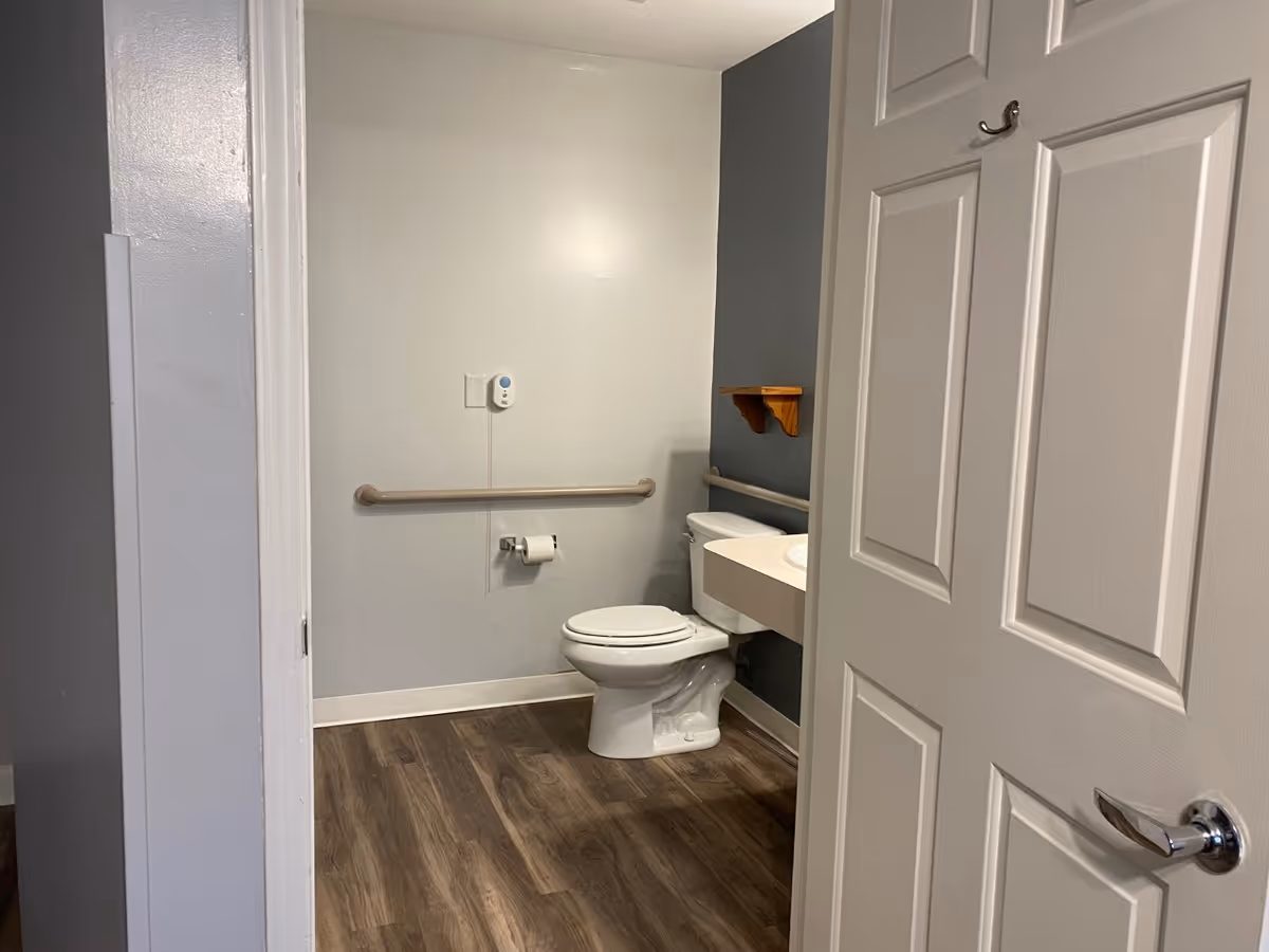 View into a bathroom with a white toilet, a grab bar on the wall, a toilet paper holder, a small wooden shelf, and a partially open white door with a silver handle. The floor has wood-like vinyl flooring and the walls are painted in light gray and dark gray colors.