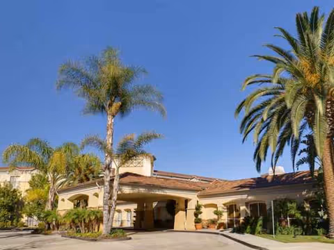Sunny exterior view of The Village at Sherman Oaks entrance with palm trees.