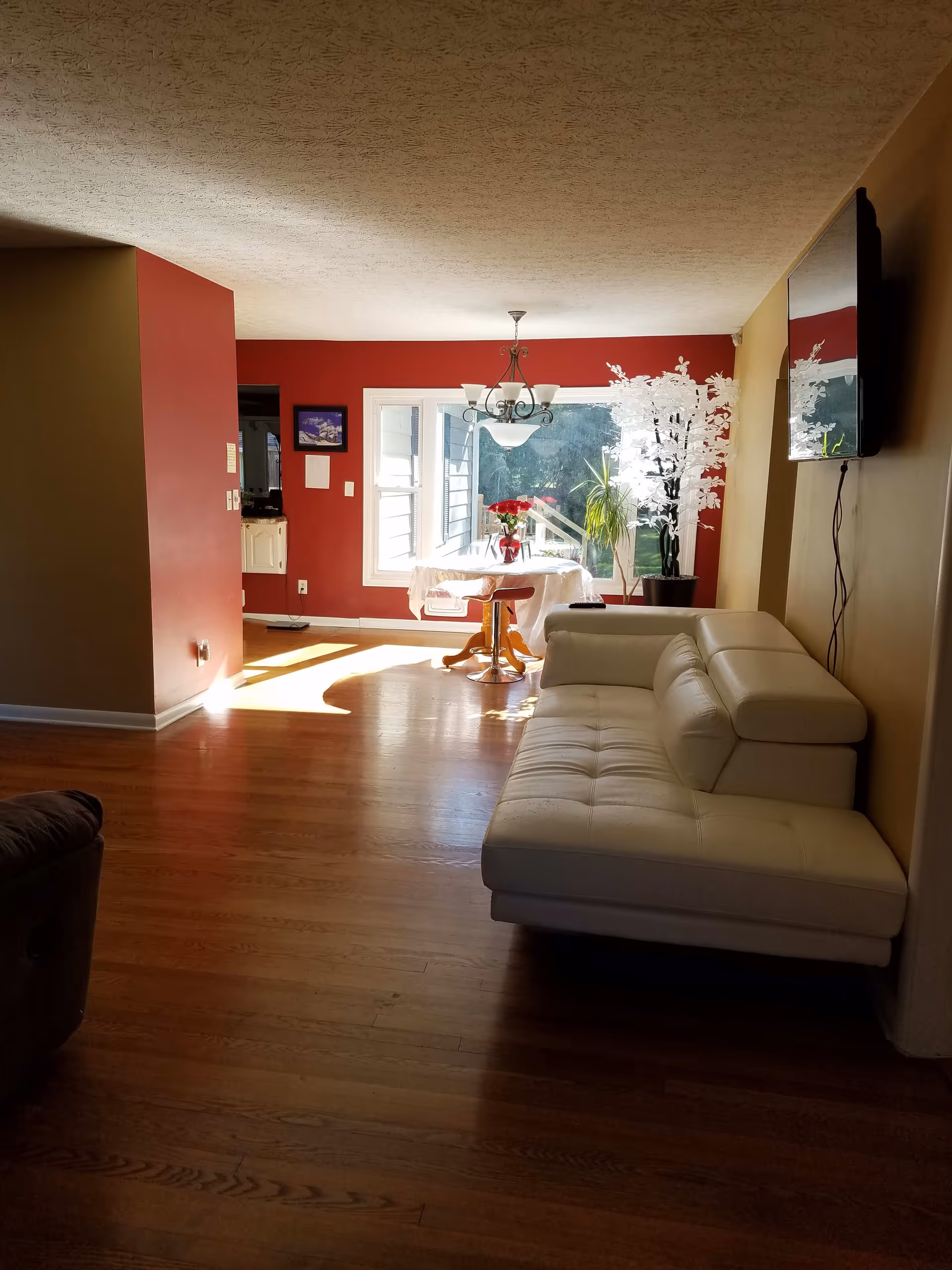 A living room and dining area with wooden flooring. The living room has a white leather sectional sofa and a wall-mounted flat-screen TV. The dining area features a small round table covered with a white cloth, a vase with red flowers, and a large window letting in natural light. There is a decorative white artificial tree and a green potted plant near the window. The walls are painted in a combination of red and beige colors.