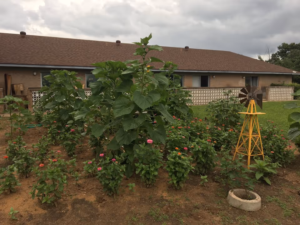 Single-story brick facility with a garden of rose bushes and a windmill ornament in foreground.