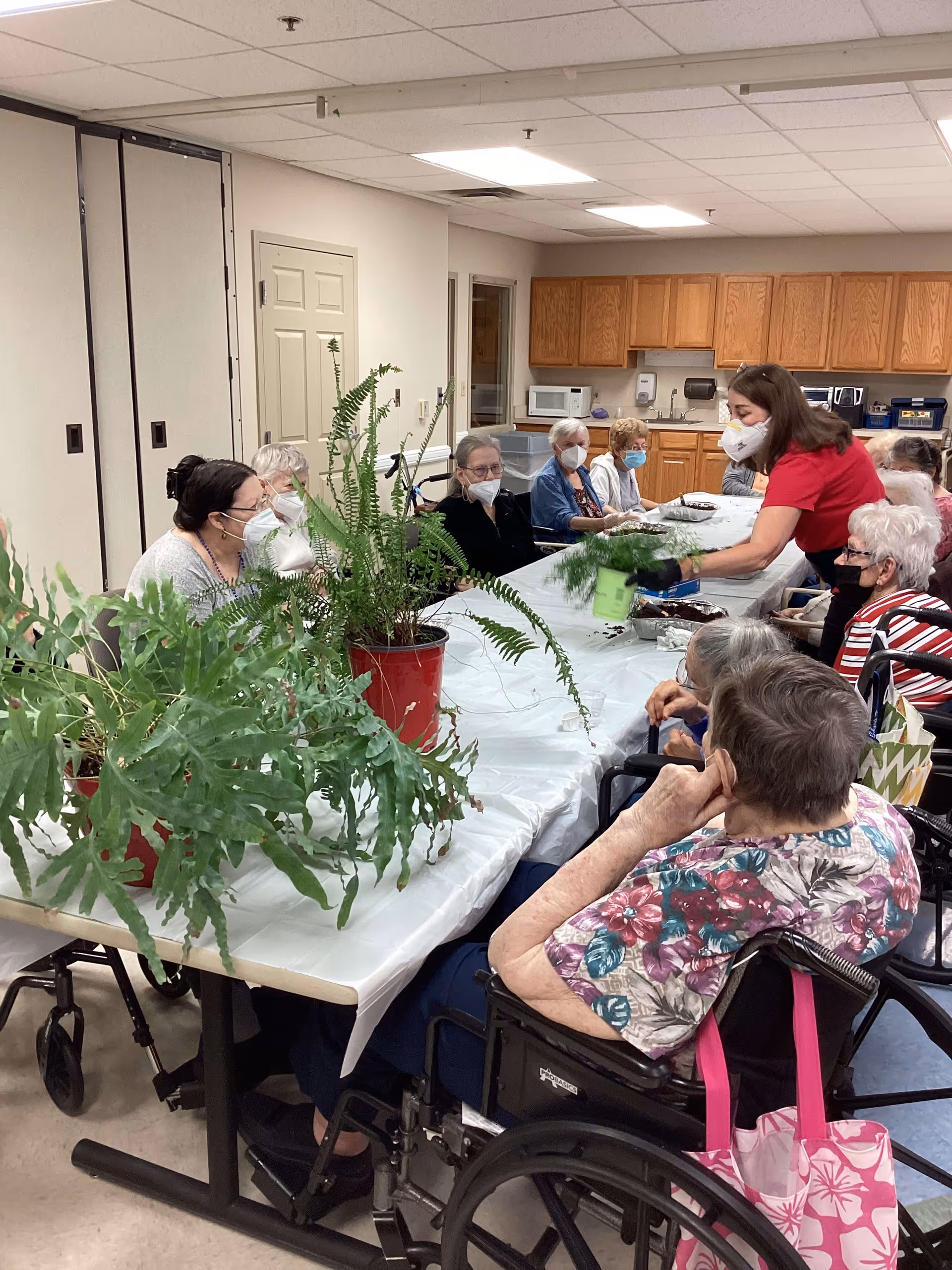 A group of elderly individuals, most seated in wheelchairs, gathered around a long table covered with a white plastic tablecloth. Several potted green plants are placed on the table. A woman wearing a red shirt and a face mask is interacting with the group, possibly leading an activity. The room has wooden cabinets, a microwave, and other kitchen appliances in the background. Everyone is wearing face masks.