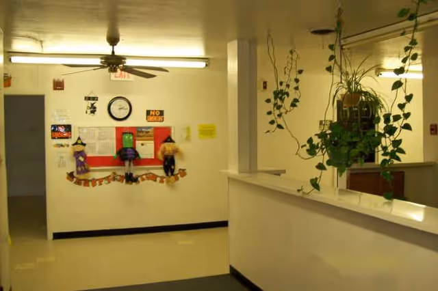 Interior hallway featuring a reception counter, hanging plant, clock, and wall crafts.