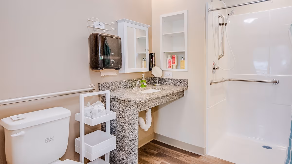 A clean and accessible bathroom featuring a white toilet with a grab bar beside it, a granite countertop sink with a mirror and shelves above, a mounted paper towel dispenser, and a walk-in shower with grab bars and a handheld showerhead.