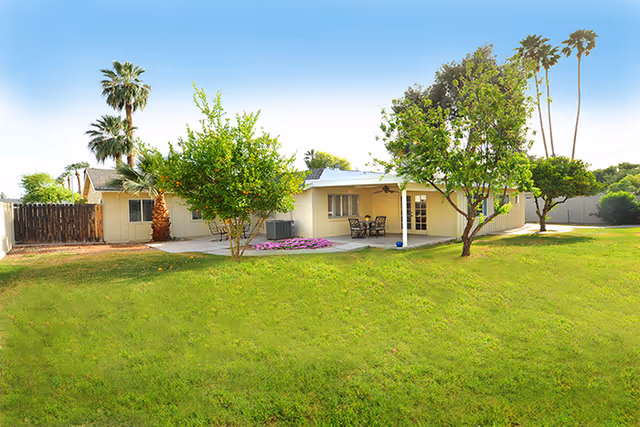 Backyard of a single-story house with a grassy lawn, patio seating, and several trees including palm palms.
