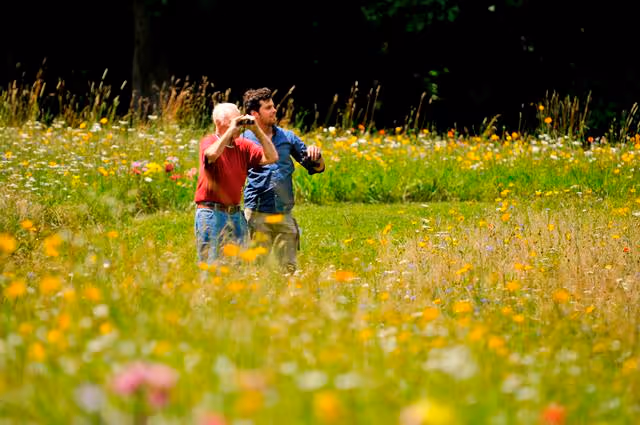 Two men standing in a colorful wildflower field, one holding binoculars and the other gesturing, surrounded by tall grass and flowers with a dark wooded background.