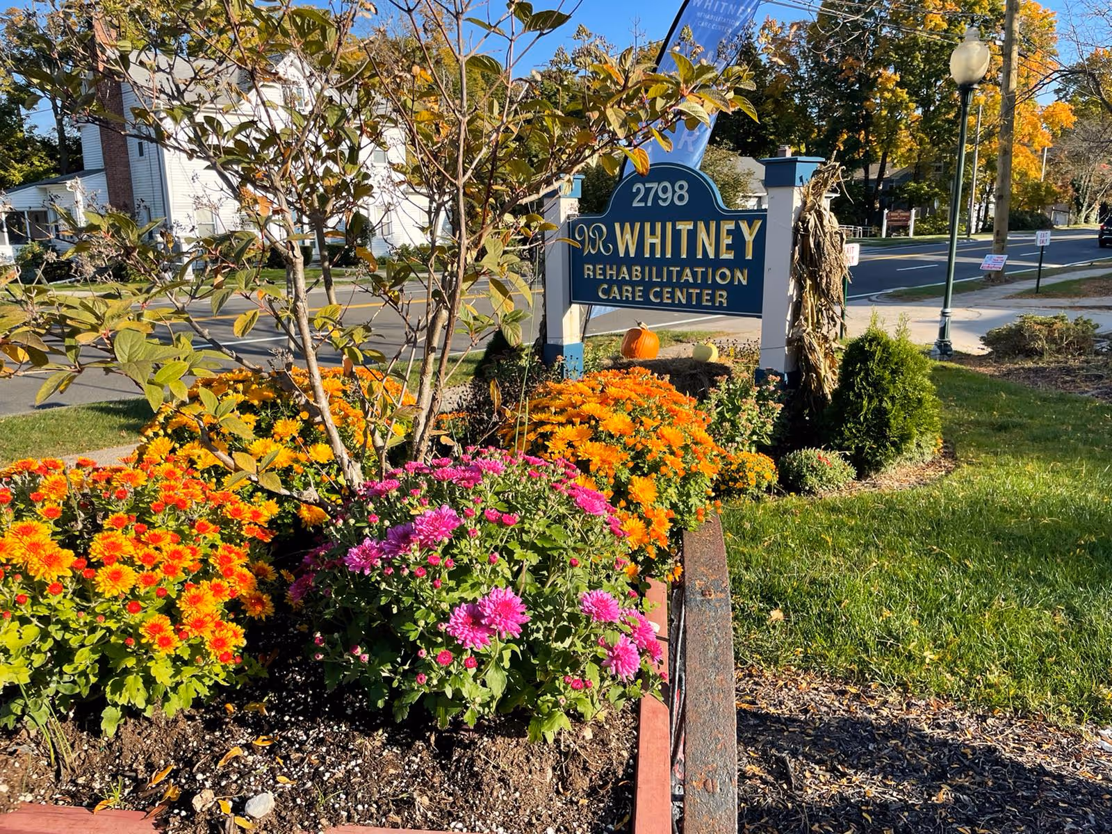Entrance sign reading "Whitney Rehabilitation Care Center" with the address number, set among colorful orange and pink flower beds and landscaping.