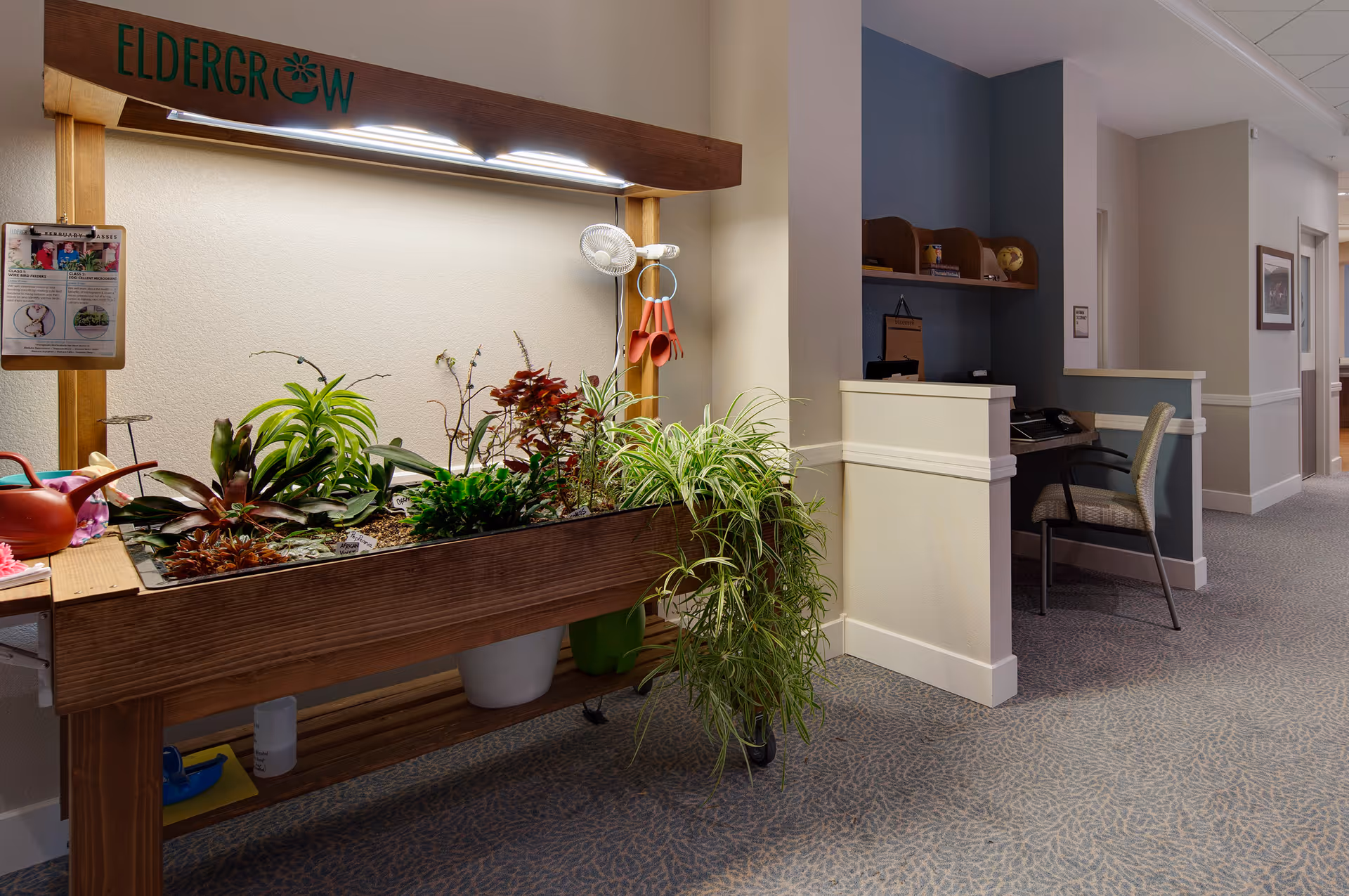 Interior hallway of a senior living facility featuring an illuminated indoor planting table labeled "ElderGrow" and a small desk nook.