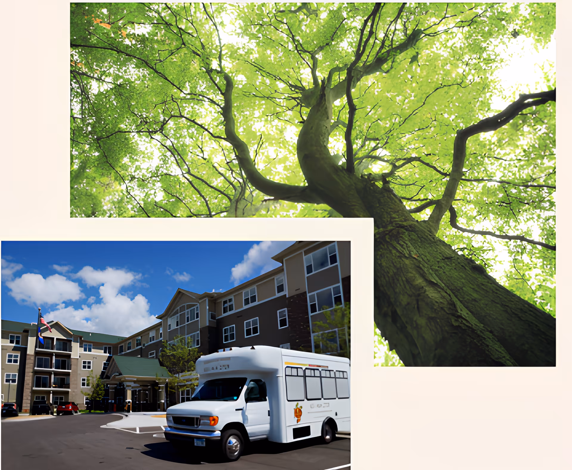 A large tree with bright green leaves viewed from below, showing its thick trunk and sprawling branches. Below this image is a smaller photo of a senior living facility building with multiple floors, beige and brown exterior, and a white shuttle bus parked in front under a blue sky with some clouds.
