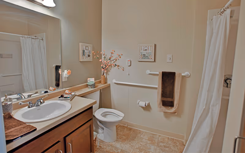 A clean and well-lit bathroom with a white toilet, a sink with a countertop and wooden cabinets, a large mirror above the sink, a towel rack with two towels, a shower with a white curtain, and decorative items including framed pictures and a vase with flowers.