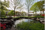 A peaceful outdoor garden area with a small pond surrounded by rocks and greenery. Several trees with fresh green leaves are visible, along with a covered seating area and buildings in the background under a clear sky.
