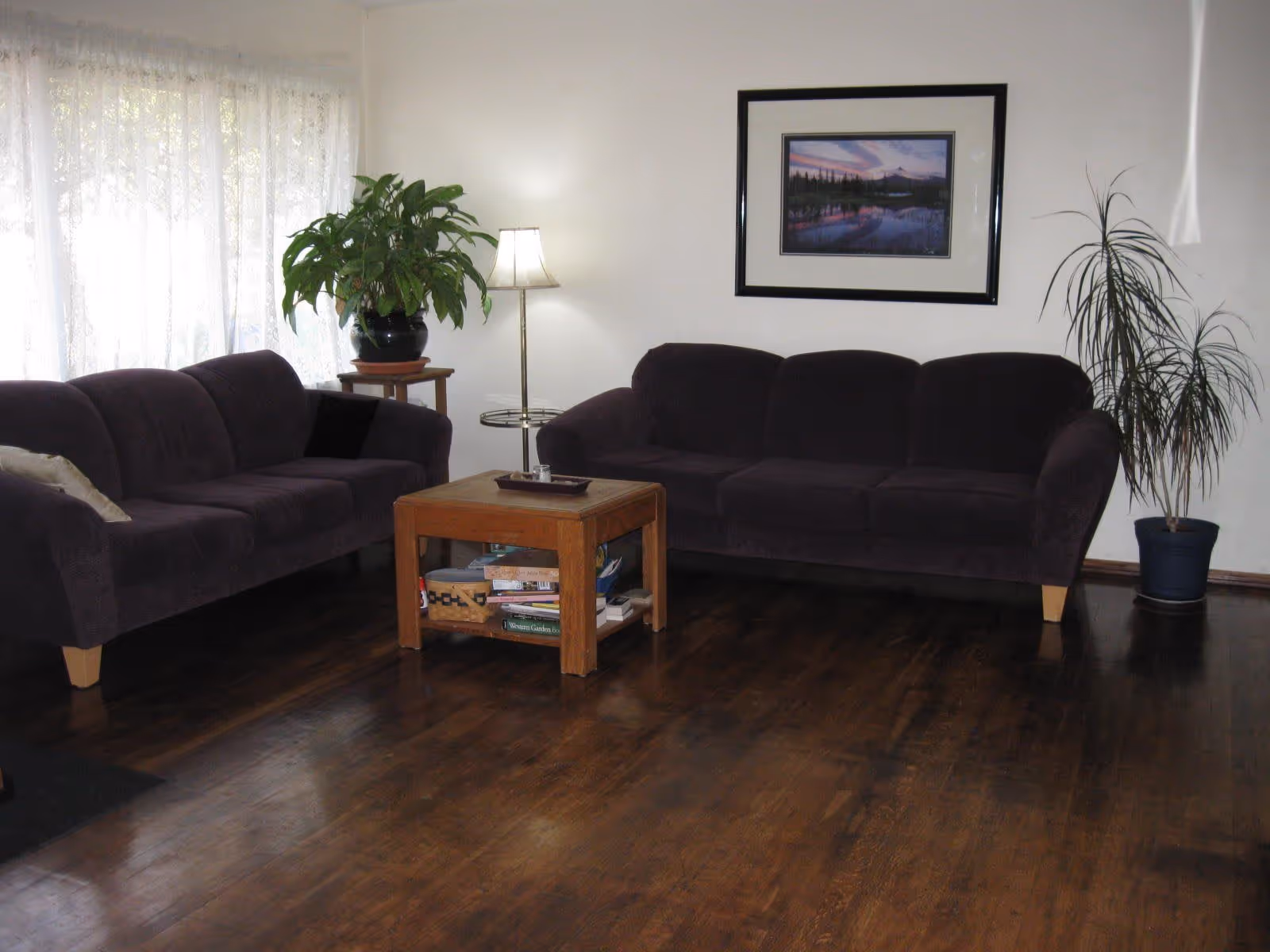 A living room with two dark purple sofas facing each other, a wooden coffee table with books and a basket underneath, a floor lamp, two potted plants, and a framed landscape picture on the wall.