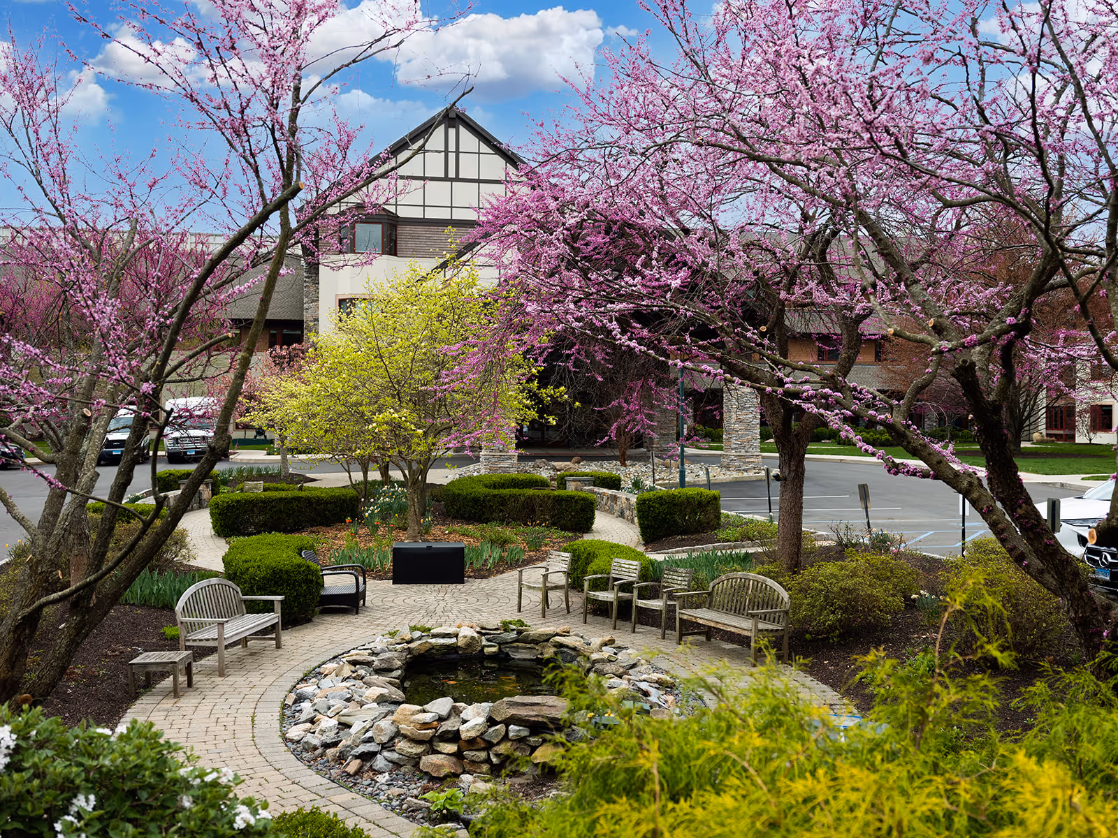 Outdoor garden area at Edgehill Senior Living Community Stamford featuring a circular stone pond surrounded by benches and chairs. The garden is landscaped with blooming pink and yellow trees, green bushes, and a paved walkway. In the background, there is a multi-story building with a Tudor-style facade and a parking lot with several cars.