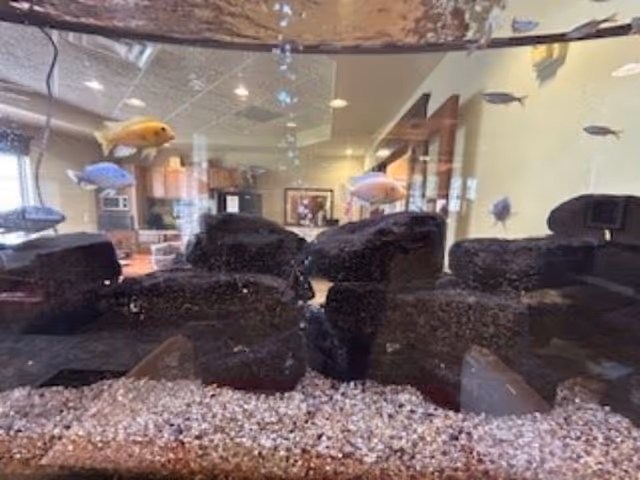 An aquarium with colorful fish swimming inside, placed in a room with visible furniture including chairs, tables, and framed artwork on the walls.