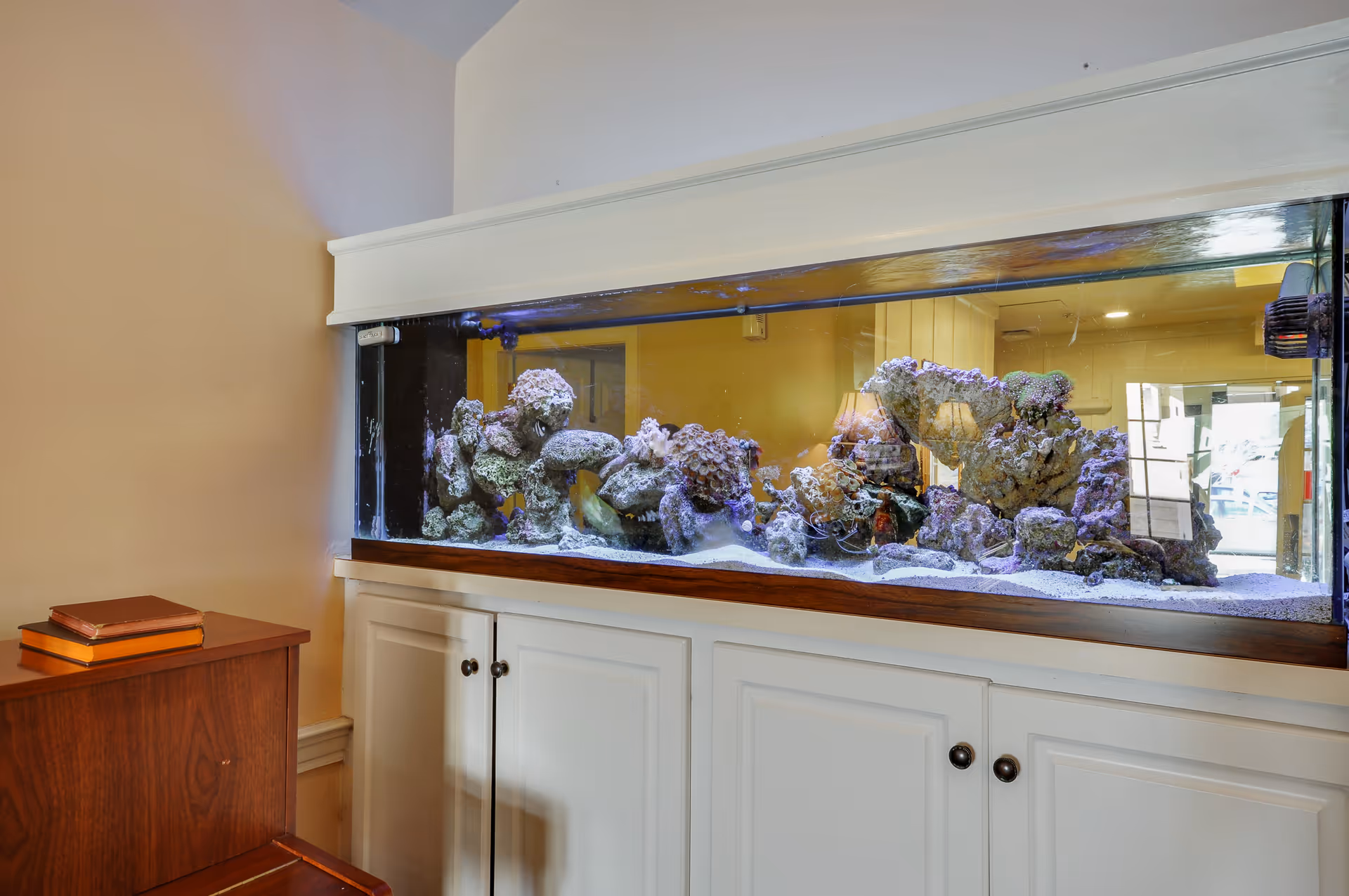 Built-in aquarium with rocks and coral set above white cabinetry in an indoor common area.