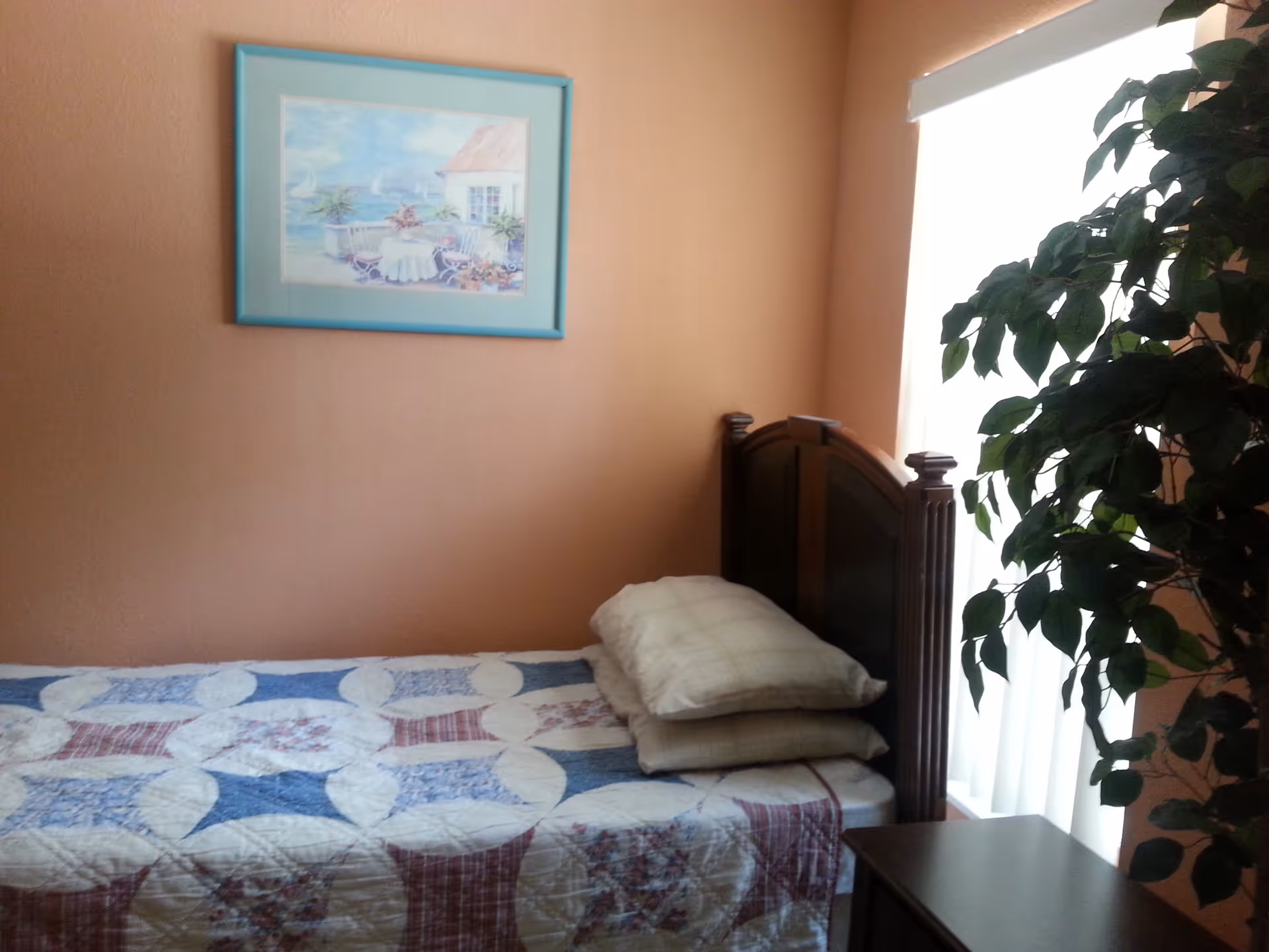 A small bedroom with a single bed covered with a patterned quilt in blue, white, and red. Two pillows are stacked at the head of the bed. A framed painting of a seaside scene hangs on the peach-colored wall above the bed. A large green leafy plant is placed near a window with white vertical blinds, and a dark wooden nightstand is next to the bed.