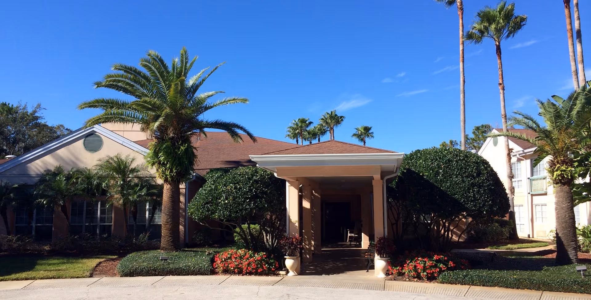 Exterior view of Ansley Cove facility entrance with a covered walkway, surrounded by palm trees, manicured bushes, and flower beds under a clear blue sky.