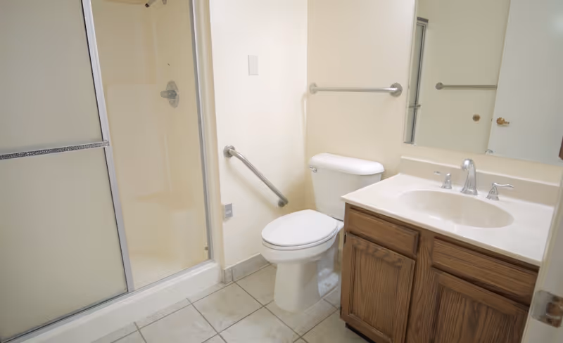 A small bathroom with a white toilet, a wooden vanity with a sink and chrome faucet, a large mirror above the sink, and a shower with sliding glass doors. The walls are light-colored and there are grab bars installed near the toilet and shower.