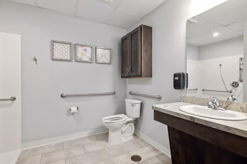 Accessible bathroom with a toilet, sink and mirror, shower with grab bars, a wall cabinet and framed artwork.