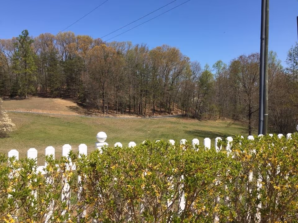 View of a grassy field with a white picket fence and green bushes in the foreground, a line of trees with some leaves turning brown in the background, and a clear blue sky above.