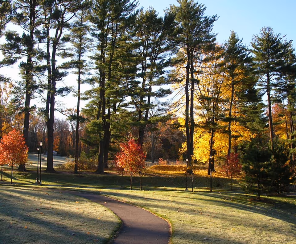 A winding paved pathway through a grassy area with tall pine trees and smaller trees with autumn-colored leaves in a park-like setting under a clear blue sky.