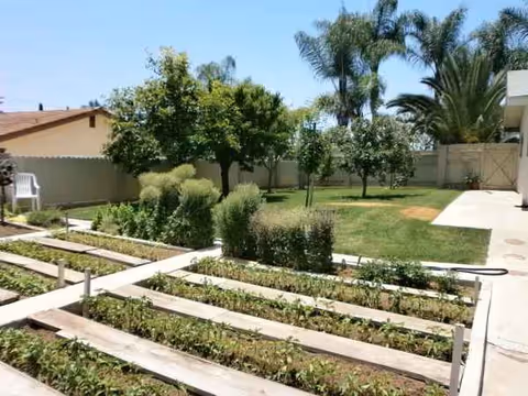 A well-kept outdoor courtyard with raised garden beds, trees, and a grassy lawn.