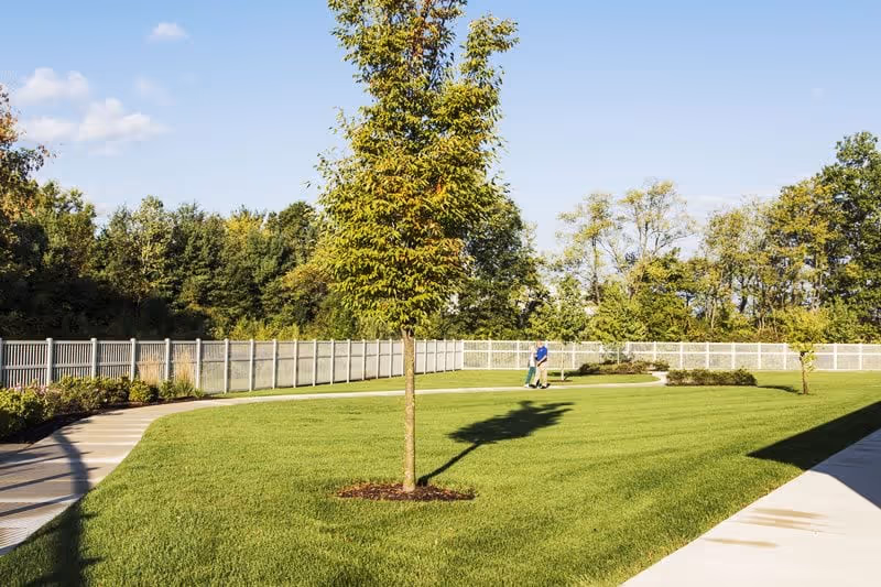 A well-maintained outdoor grassy area with a young tree in the center, surrounded by a paved walkway and a white fence. A person is walking along the path in the background, and there are trees beyond the fence under a clear blue sky.