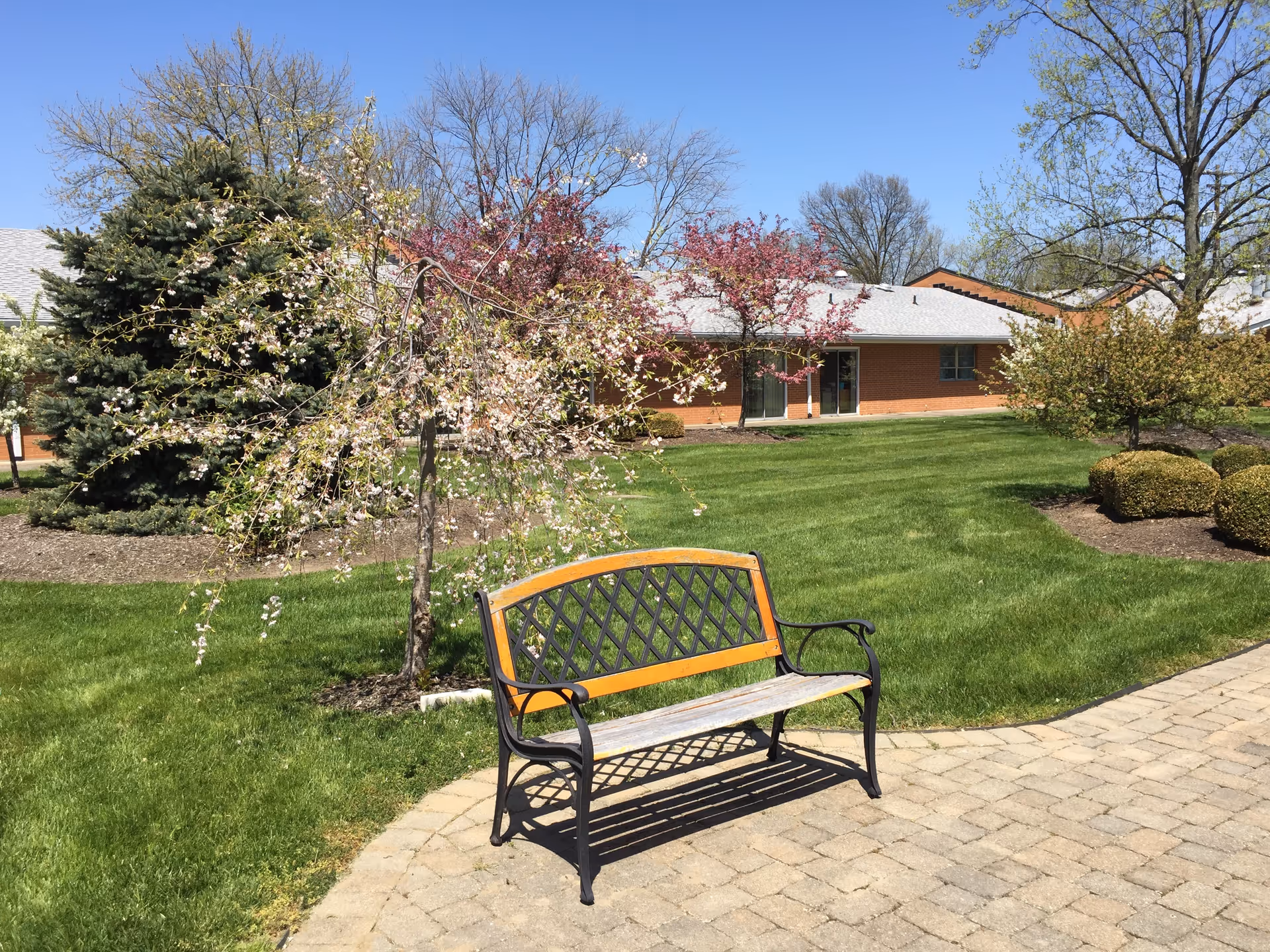 Outdoor garden area with a metal and wood bench on a paved pathway, surrounded by green grass, blooming trees, and bushes. A single-story brick building is visible in the background under a clear blue sky.