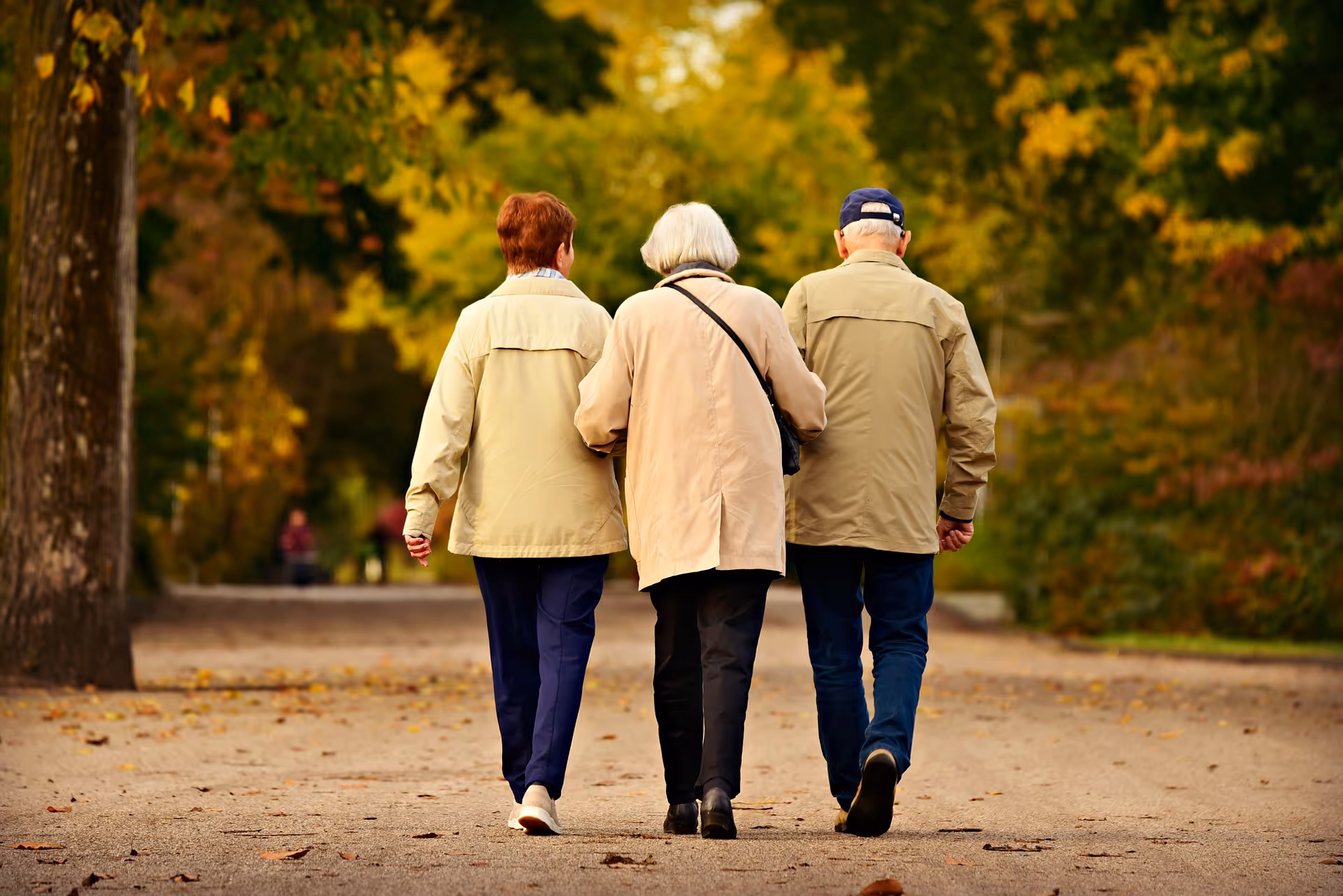 Three people in light jackets walking away together down a tree-lined path in autumn.
