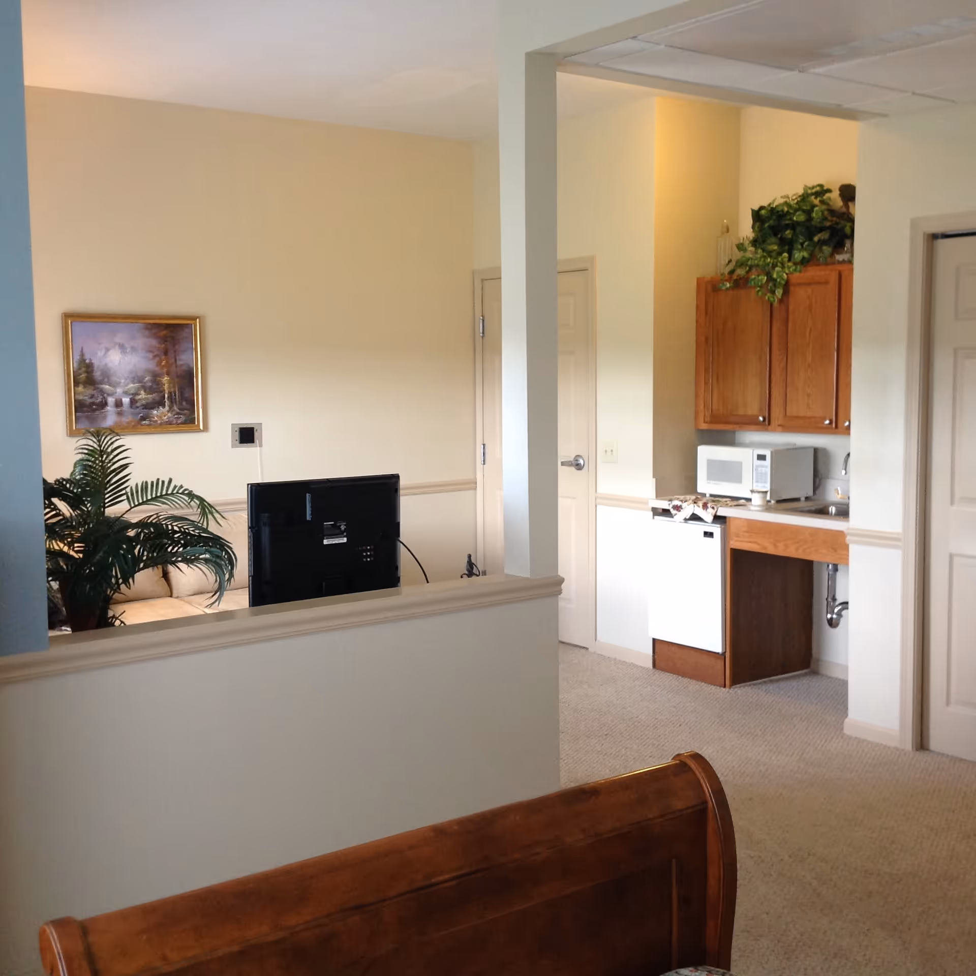 Interior view of a senior living facility room showing a small kitchenette with wooden cabinets, a microwave, a sink, and a dishwasher. Adjacent to the kitchenette is a living area with a TV, a potted plant, a framed landscape painting on the wall, and a beige couch partially visible. The room has light-colored walls and carpeted flooring.