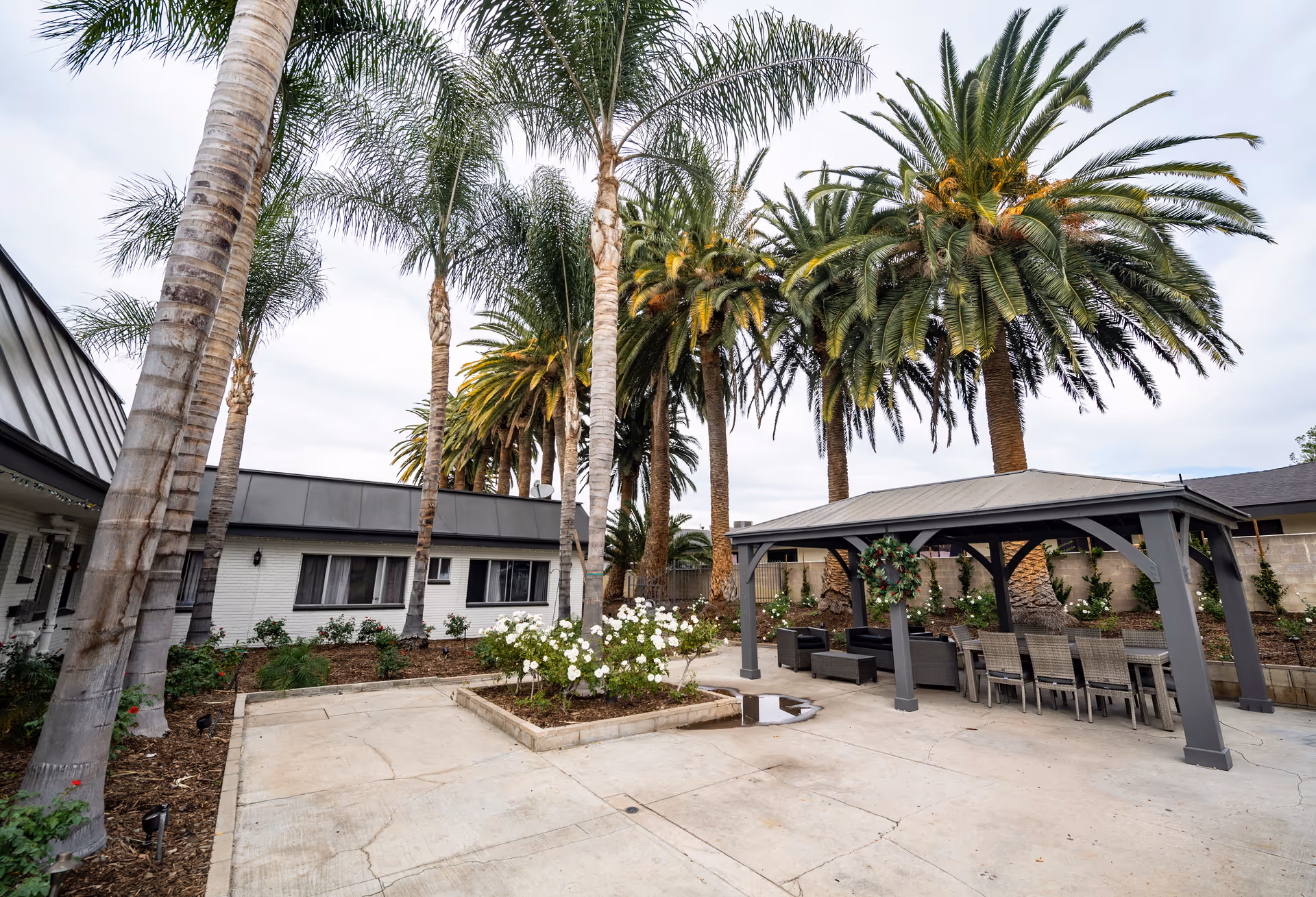 Outdoor courtyard area with tall palm trees, a concrete patio, a garden bed with white flowers, and a covered seating area with chairs and a table. The surrounding buildings have white walls and dark roofs.