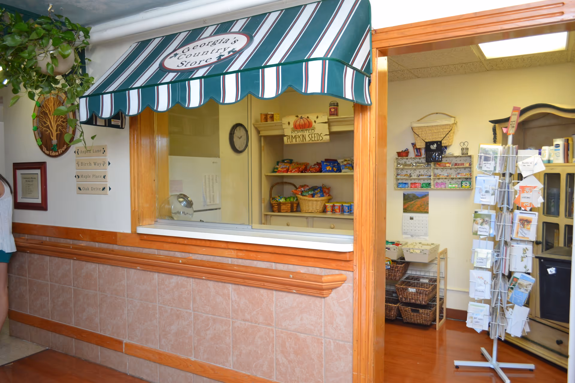 Interior view of a small store counter labeled 'Georgia's Country Store' with a green and white striped awning. Behind the counter are shelves stocked with snacks and a sign that says 'Roasted Pumpkin Seeds.' To the right, there is a rotating rack with greeting cards and a wall-mounted display with small items. The area has wooden trim and tiled lower walls.