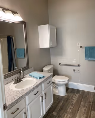 A clean bathroom with a white sink and countertop, a large mirror above the sink, a white cabinet mounted on the wall, a toilet with a grab bar next to it, a towel rack with a blue towel, and wood-look flooring.