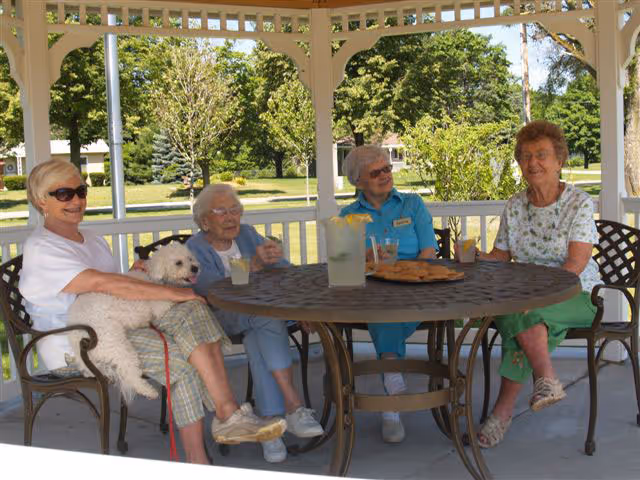Four elderly women sitting around a round outdoor table under a gazebo. One woman is holding a small white dog on her lap. The table has a pitcher of lemonade, glasses, and a plate of cookies. The background shows green trees and a sunny day.