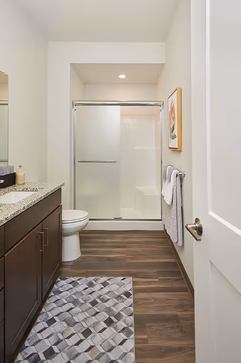A clean and modern bathroom featuring a granite countertop with a sink, a toilet, a shower with frosted sliding glass doors, a towel rack with neatly folded towels, a framed artwork on the wall, and a patterned rug on the wooden floor.