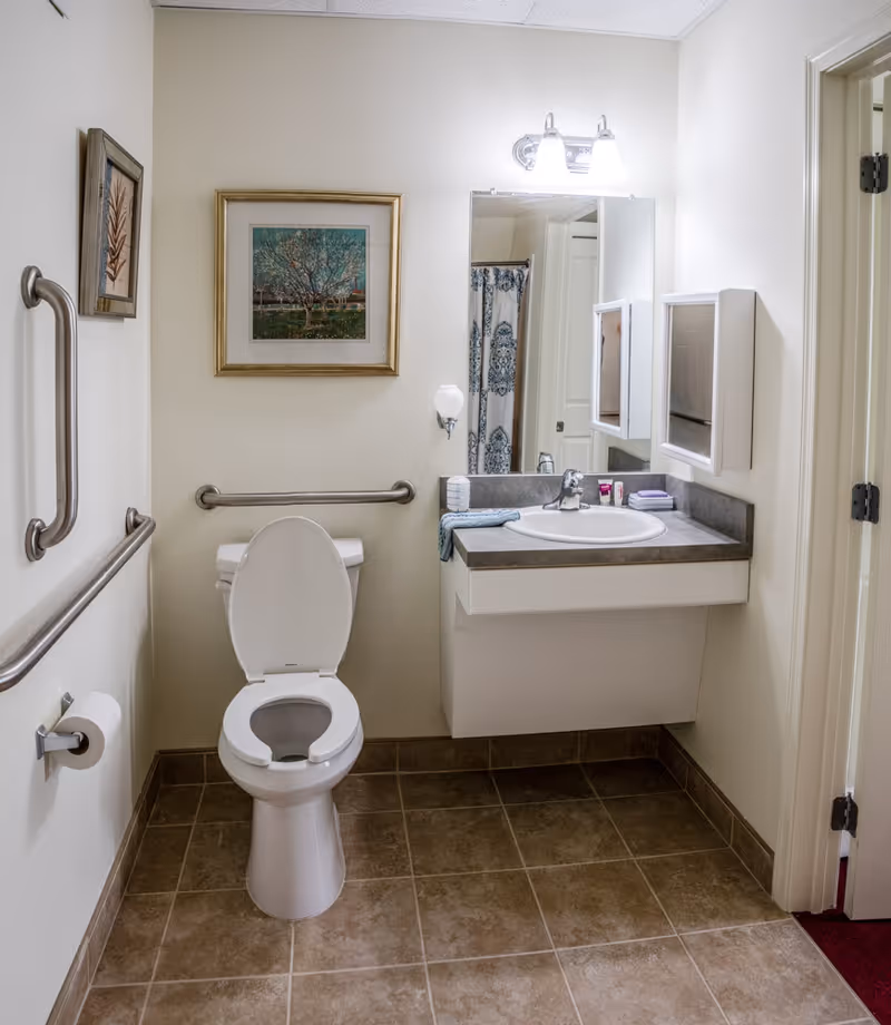 A clean and accessible bathroom with a white toilet, grab bars on the walls, a sink with a countertop, a mirror with lights above it, and framed artwork on the wall.